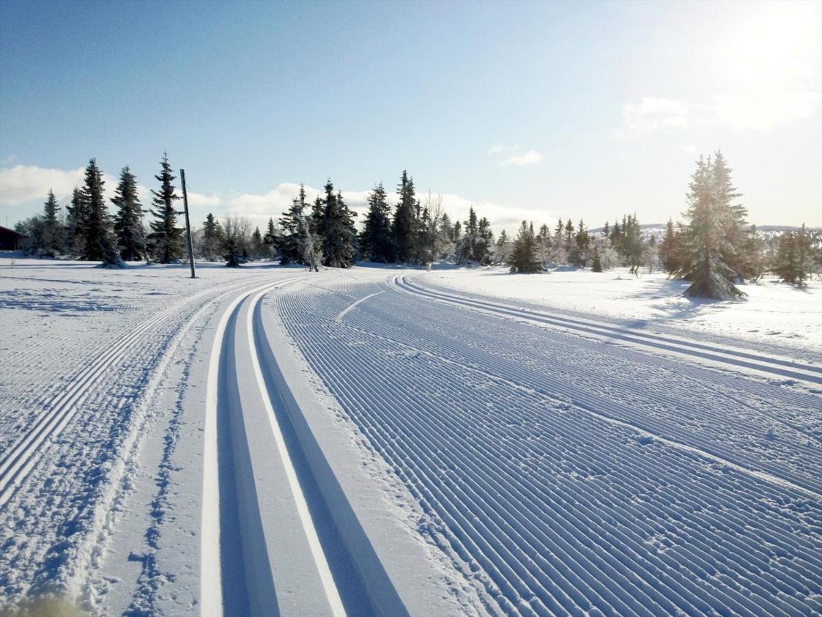 Ski And Bike-In And Out Hafjell Εξωτερικό φωτογραφία