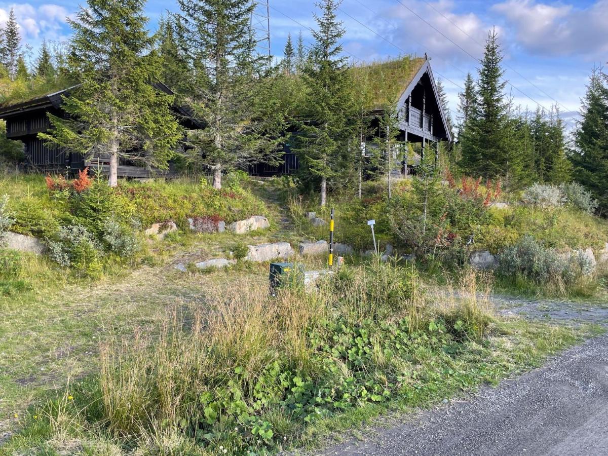 Ski And Bike-In And Out Hafjell Εξωτερικό φωτογραφία
